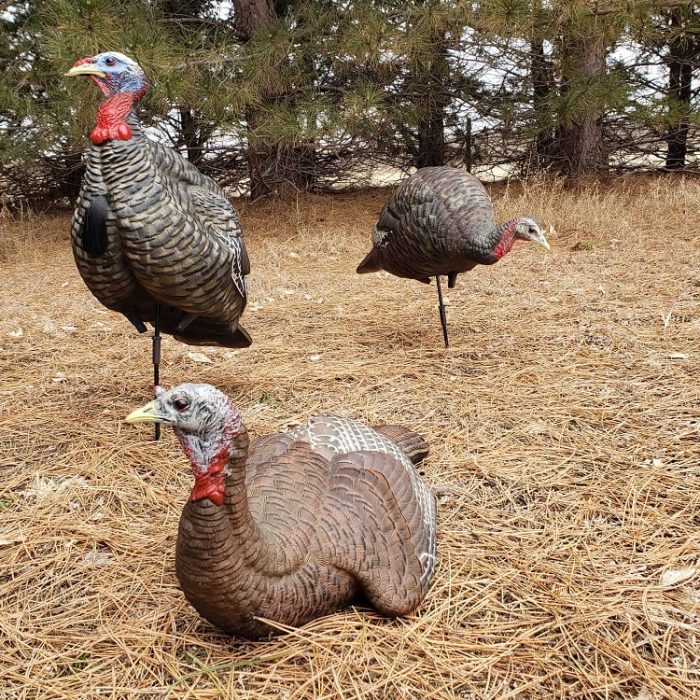 TurkeyDecoys