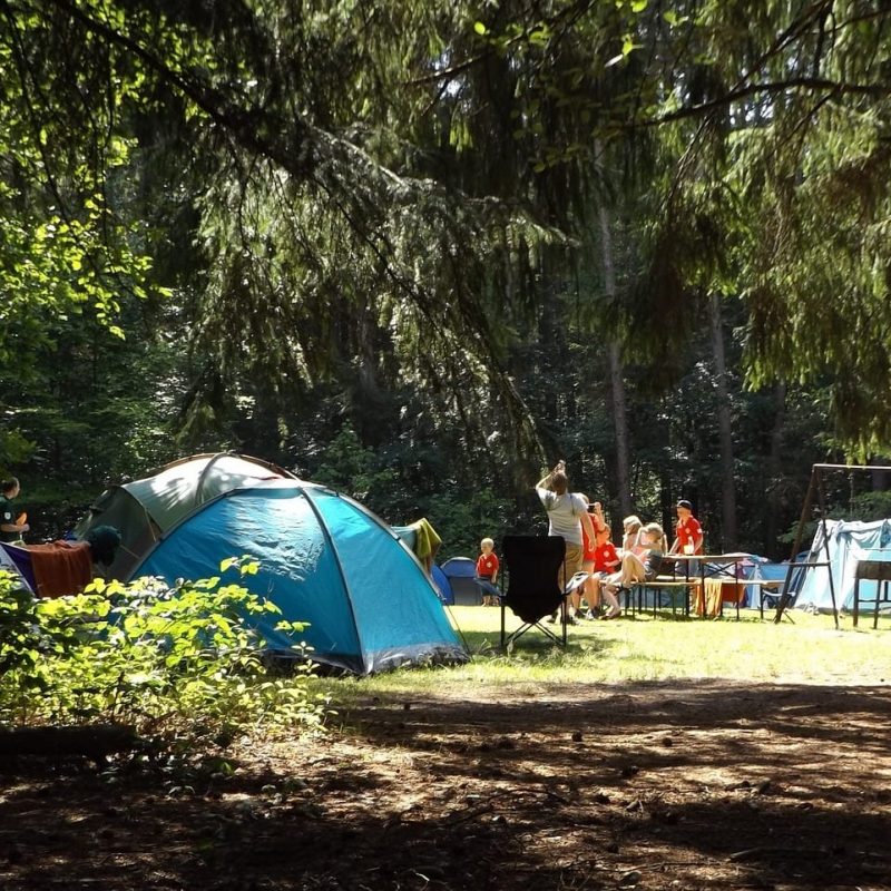 camp, forest, summer